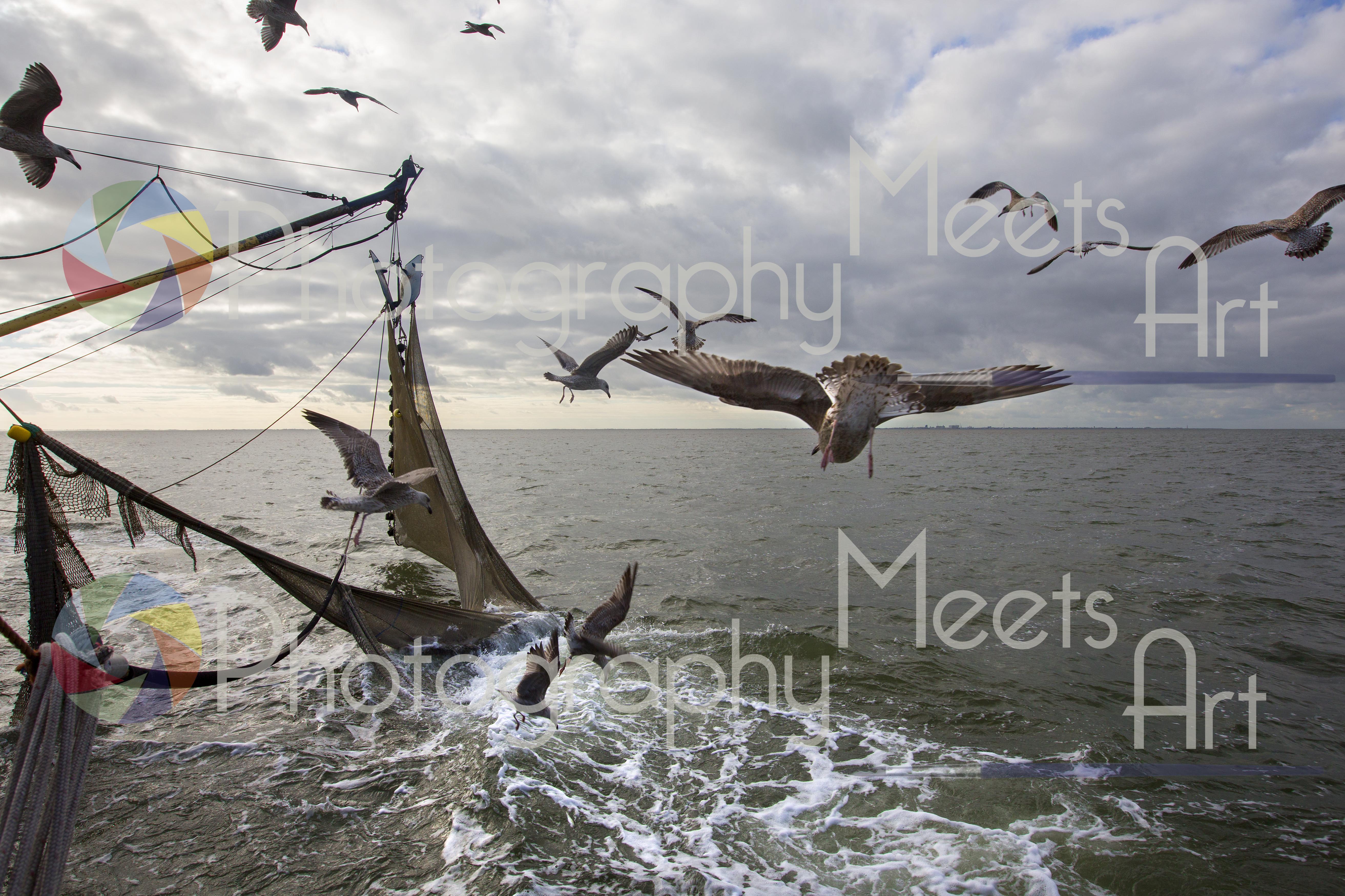 Waddenzee